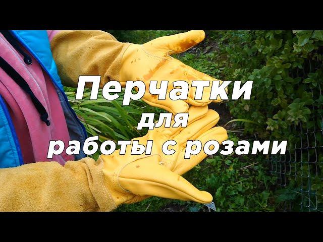 Бюджетные садовые перчатки #кожаные #садовые #перчатки