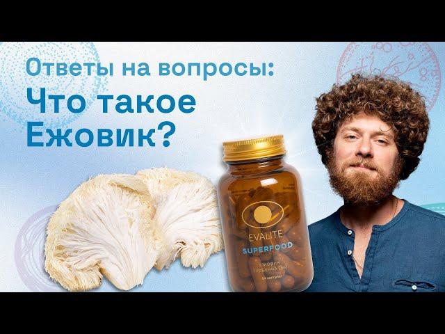 Всё, что нужно знать о Ежовике от EVALITE.Superfood