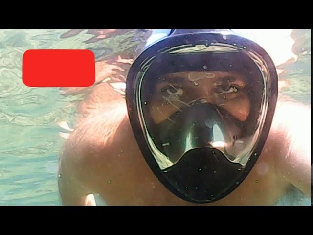 Buceo en Fuchiños 18, peces uno con un parásito