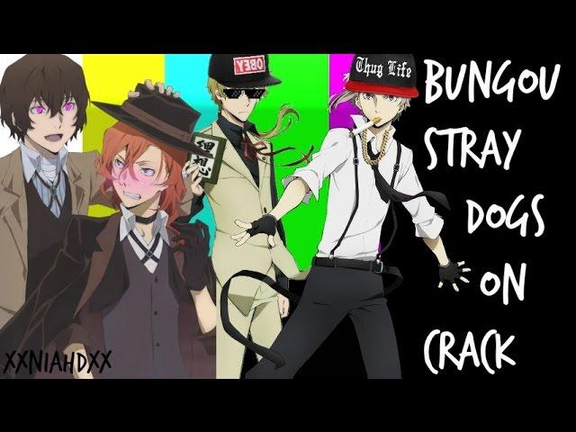 Bungou Stray Dogs  「 ON CRACK 」