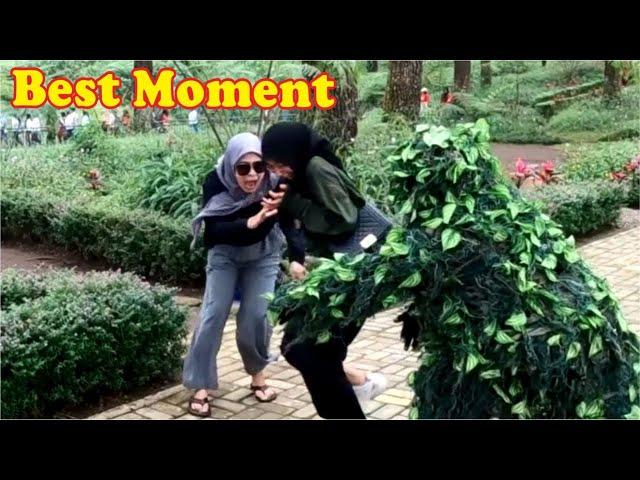 The Best of Bushman Prank [ Happiness and Hilarious ] Part #4