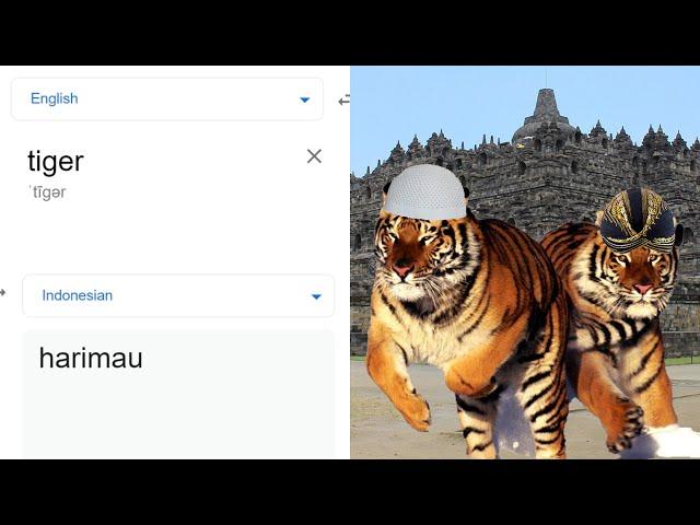 Tiger in different languages meme