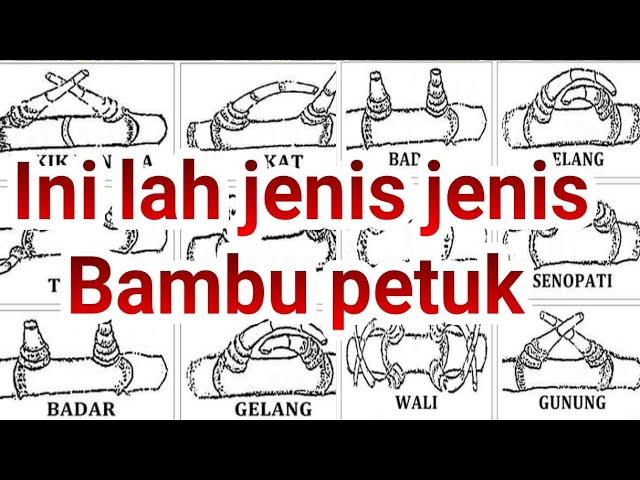 jenis jenis BAMBU PETUK ASLI