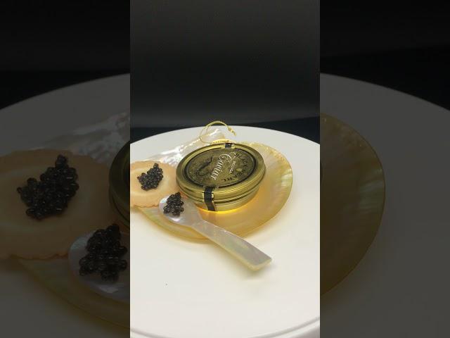 Beluga Caviar