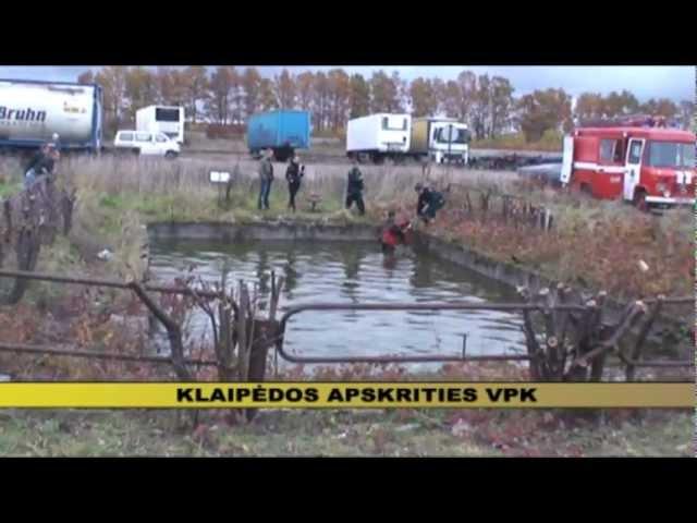 Klaipėdoje sulaikyta organizuota vagių grupuotė