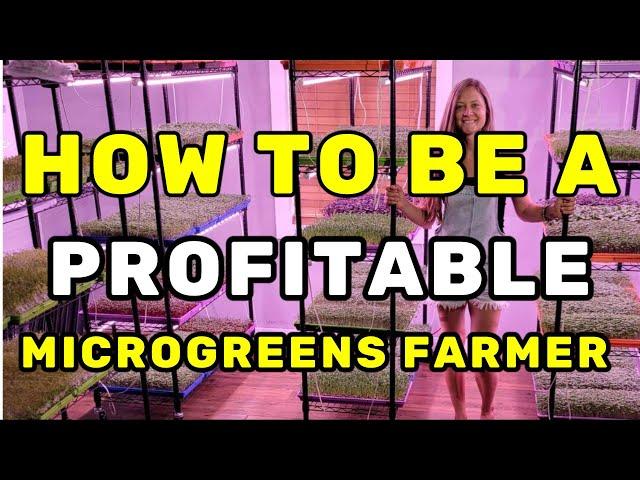 HOW TO BE A PROFITABLE MICROGREENS FARMER