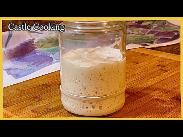 No Discard Baby Sourdough Starter Recipe / Making No Discard Sourdough Starter 천연발효종 만들기