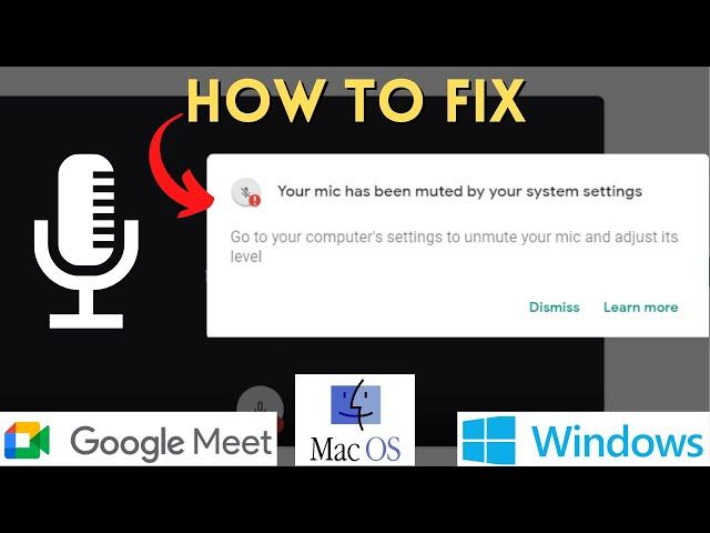 YOUR MIC IS MUTED BY YOUR SYSTEM SETTINGS | SOLVE MIC GOOGLE