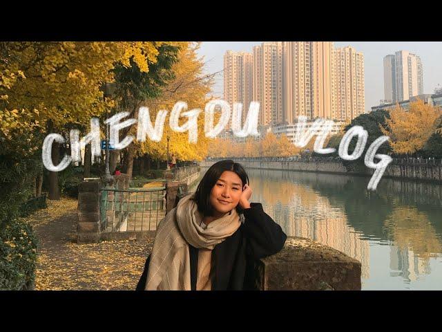 CHENGDU VLOG | SICHUAN DEC 2019 | Teahouse, pandas, visiting our ancestral home 黄家大院，dujiang yan