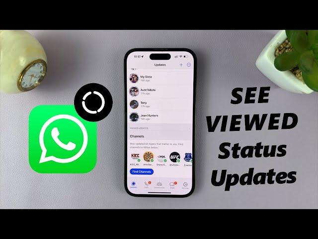 How To See Viewed Status Updates On WhatsApp