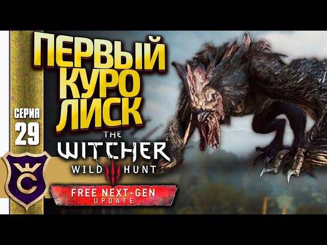 ЗАКАЗ НА КЛЕКОТУНА! The Witcher 3 Wild Hunt Next Gen Update Прохождение #29