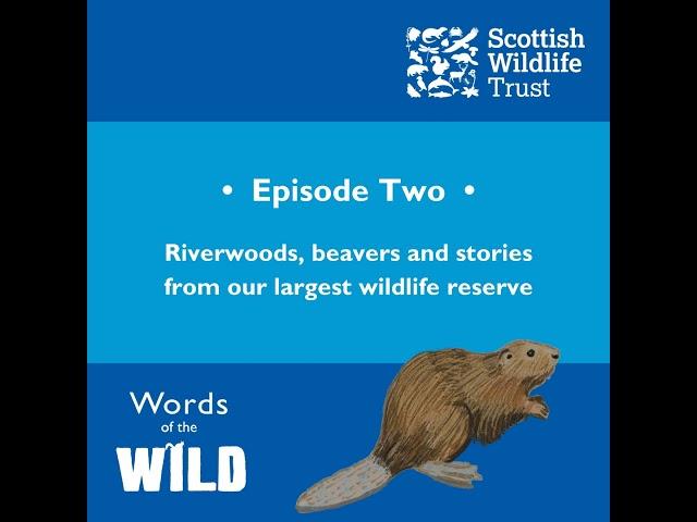 Riverwoods, beavers and stories from our largest wildlife reserve