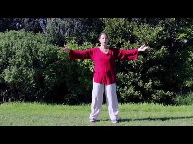 Tai Chi 5 Minutes a Day Module 04 - Cloud Hands - Single Whip - Snake Creeps down