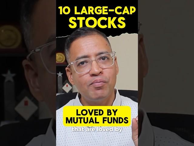  10 Large Cap Stocks!- Mutual Fund’s favourites! #mutualfunds #investingforbeginners