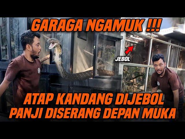 BERKALI-KALI PANJI DISERANG GARAGA !! TAPI CUMA PANJI YANG BISA TAKLUKIN GARAGA