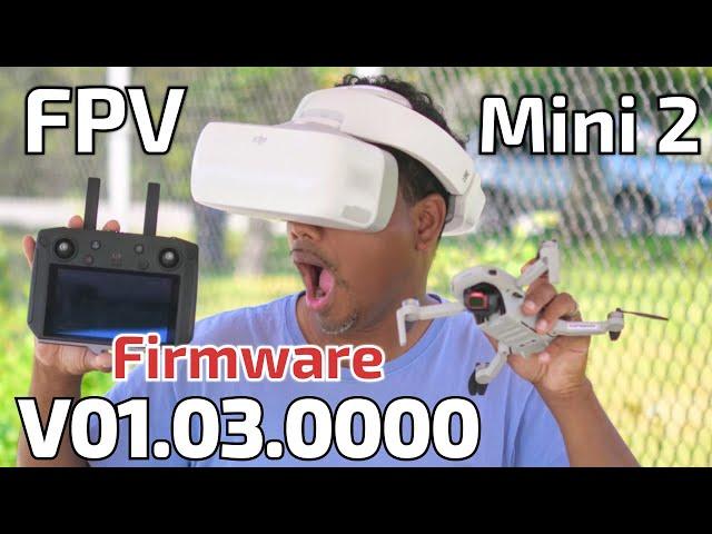 DJI Mini 2 + Smart-controller + Goggles  = FPV