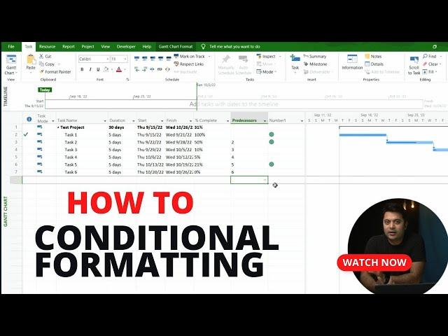 How to do Conditional formatting in Microsoft Project | NiksProjects