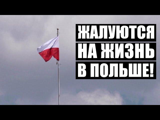 Белорусы из Польши жалуются на жизнь! В ЕС гнобят мигрантов? // Повышение цен