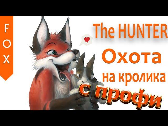 The HUNTER охота на кролика.