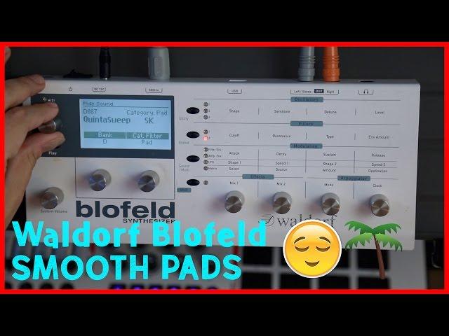 Waldorf Blofeld Synth: The Best Pad Sounds