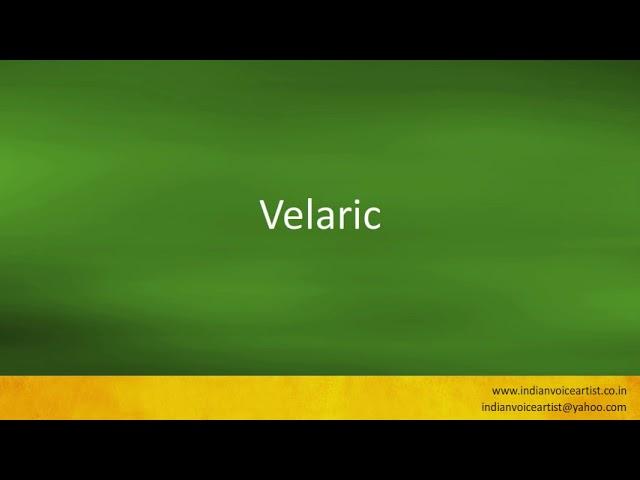 Pronunciation of the word(s) "Velaric".