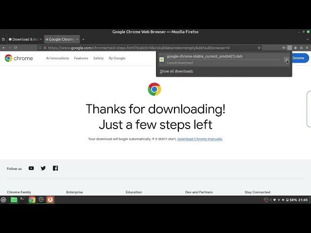 How to install google chrome in linux mint | 2024