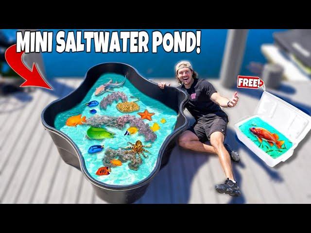 Building My NEW MINI SALTWATER POND!! *Adding Fish*