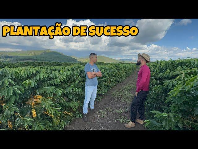 CAFÉ  QUAL ESPAÇAMENTO IDEAL PARA PLANTAR