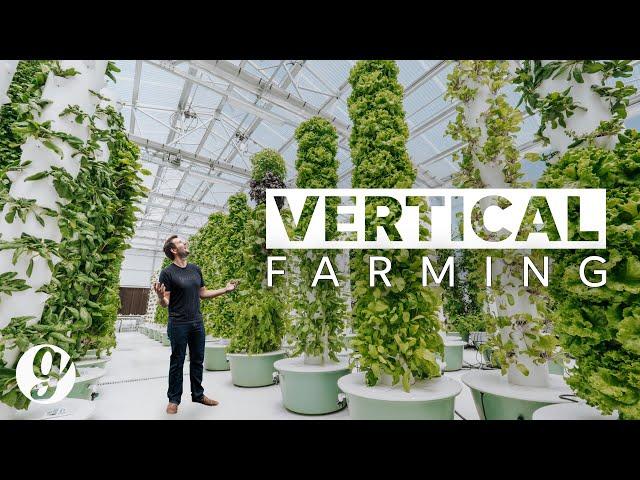 Next Gen Farming Without Soil and 90% Less Water  | GRATEFUL