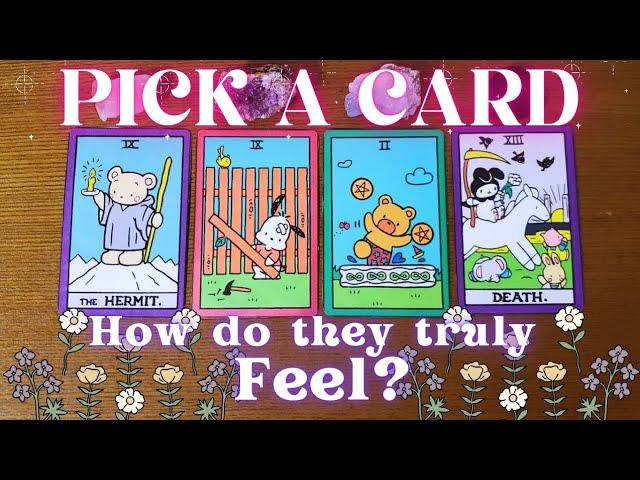 How do they truly feel? PICK A CARD  In-depth tarot reading