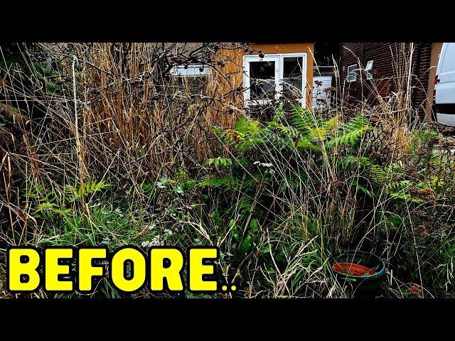 OVERGROWN - YEARS Of Growth CLEANED To Find HIDDEN Wall! - Garden Transformation