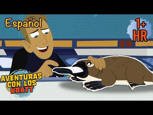 Los ornitorrincos son extraños [episodios completos] Aventuras con los Kratt