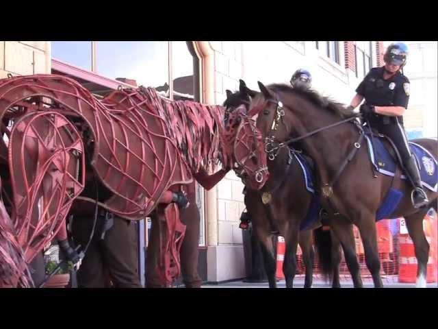 Joey, of WarHorse, meets Providence Mounted Command horses