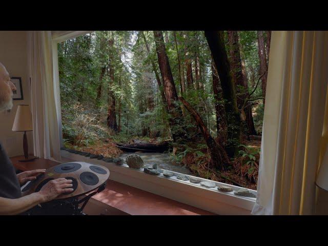 Muir Woods Trilogy, #1 - Neotone Handpan 4K