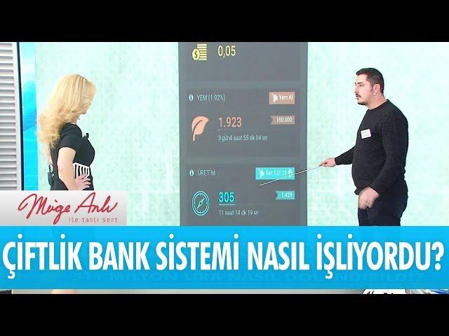 Çiftlik bank sistemi nasıl işliyordu? - Müge Anlı İle Tatlı Sert 19 Mart 2018