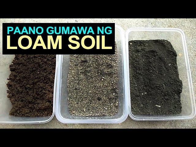 How To Make Loam Soil I Paano Gumawa Ng Loam Soil