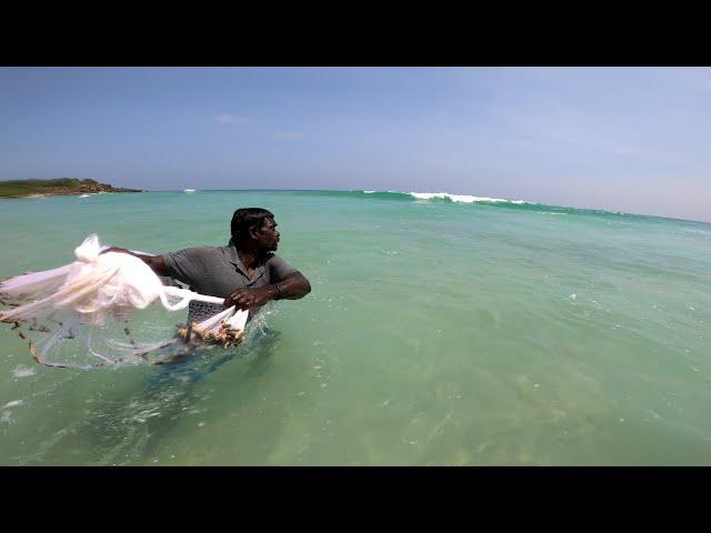 Traditional Cast Net Fishing  | Fishing In Sri Lanka