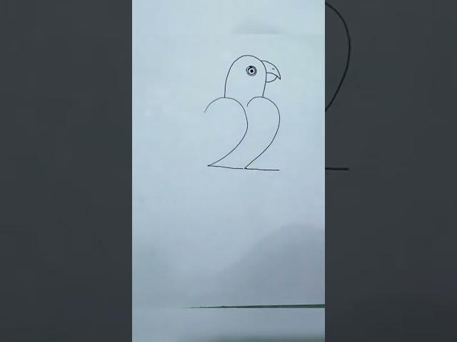 Easy parrot Drawing