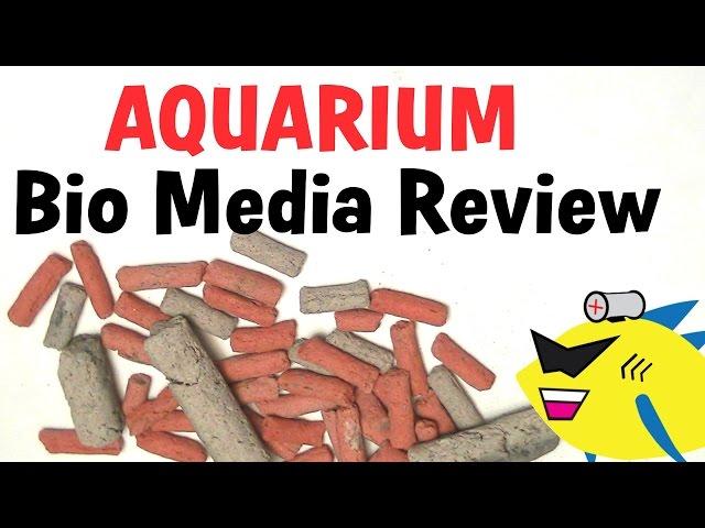 Aquarium Filter Media: Biofilter Media Review