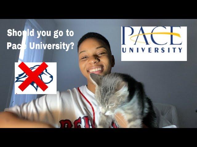 PACE UNIVERSITY PROS AND CONS