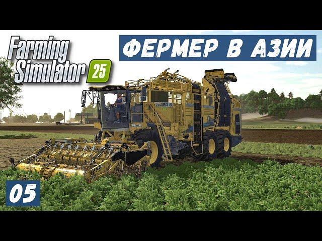 FS 25 - ФЕРМЕР в АЗИИ.  Уборка СВЕКЛЫ.  Новый ЭЛЕВАТОР. Работяга ЧУДИТ. Еду где хочу # 05