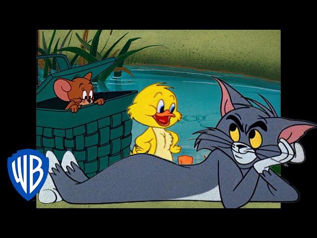 Tom y Jerry en Español  | La primavera se acerca | @WBKidsEspana