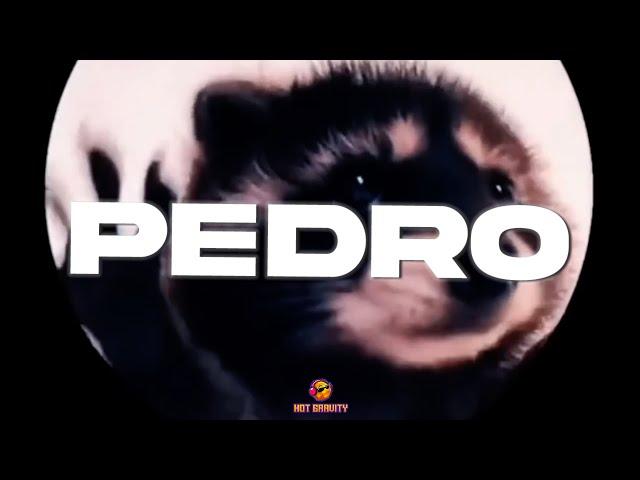 PEDRO - Jaxomy, Agatino Romero, Raffaella Carrà (TikTok Song)