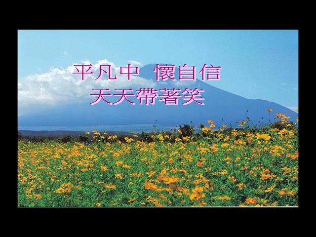 在原野上的花兒