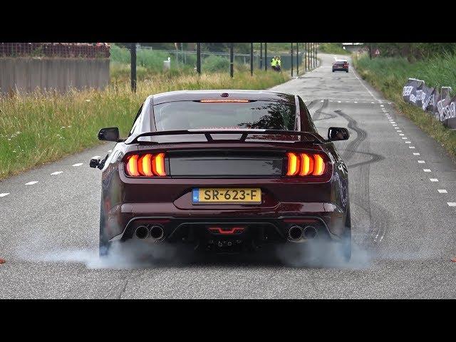 Ford Mustang 5.0 V8 Royal Crimson GT Performance - BURNOUT & SOUND!