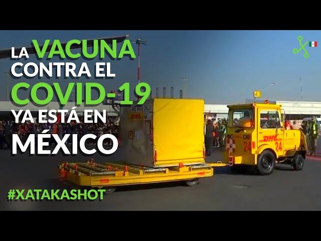 Vacuna contra COVID ya en México: plan de vacunación oficial y cuándo me tocará