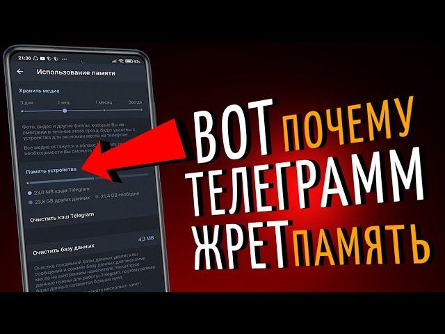 Вот почему ТЕЛЕГРАММ занимает ОЧЕНЬ МНОГО места на твоем СМАРТФОНЕ Настрой его ПРАВИЛЬНО!