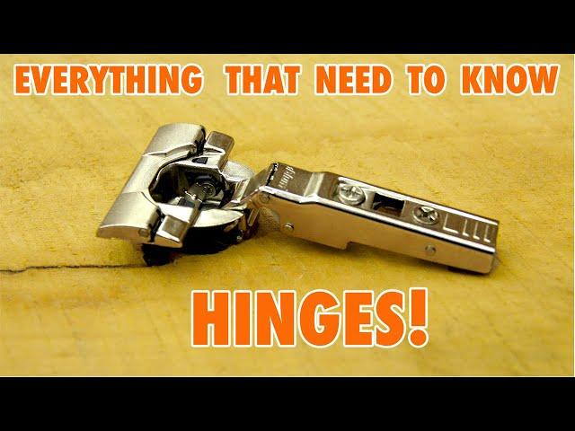 Cabinet Door Hinges || Everything you need to Know!