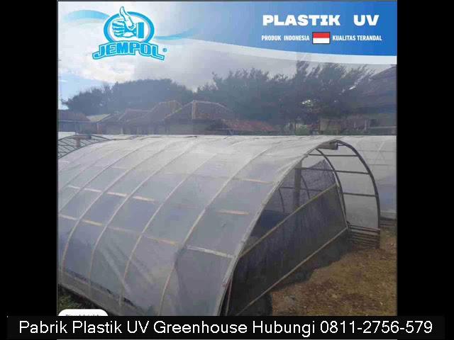 0811-2756-579 Plastik JEMPOL, Produsen Plastik UV Atap Greenhouse siap kirim ke Kota Tangerang