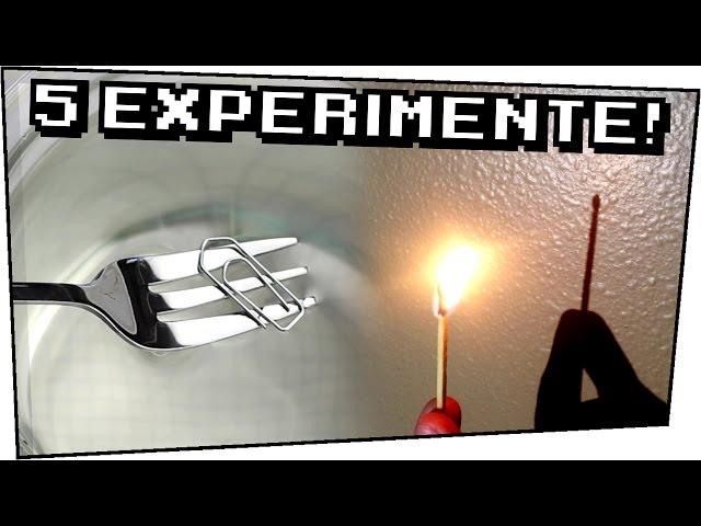 5 EXPERIMENTE zum SELBER MACHEN - Heimexperimente #64